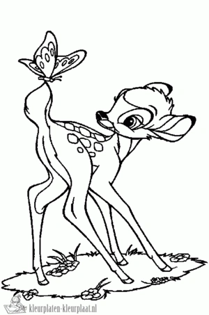 Hert 5 kleurplaat om te printen en kleuren