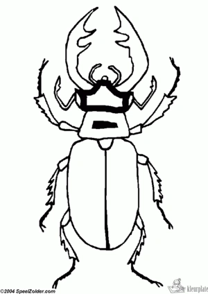 Insecten 1 kleurplaat om te printen en kleuren