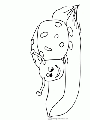 Insecten 12 kleurplaat om te printen en kleuren