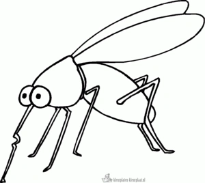 Insecten 15 kleurplaat om te printen en kleuren