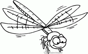 Insecten 25 kleurplaat om te printen en kleuren