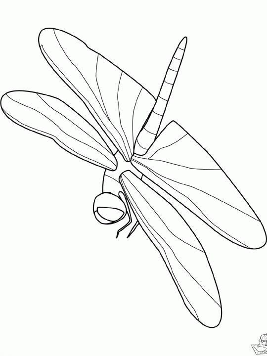 Insecten 3 kleurplaat