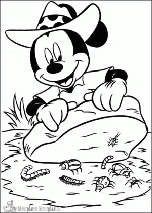 Insecten 9 kleurplaat om te printen en kleuren