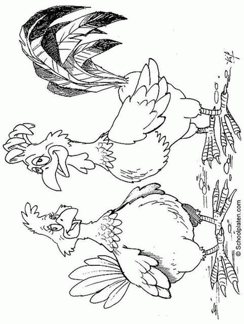 Kip 16 kleurplaat