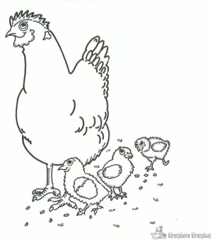 Kip 25 kleurplaat om te printen en kleuren