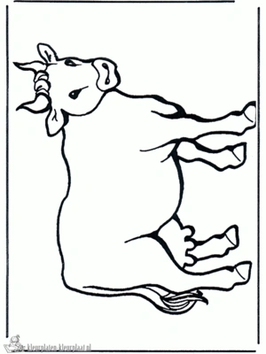 Koe kleurplaten om te printen en kleuren