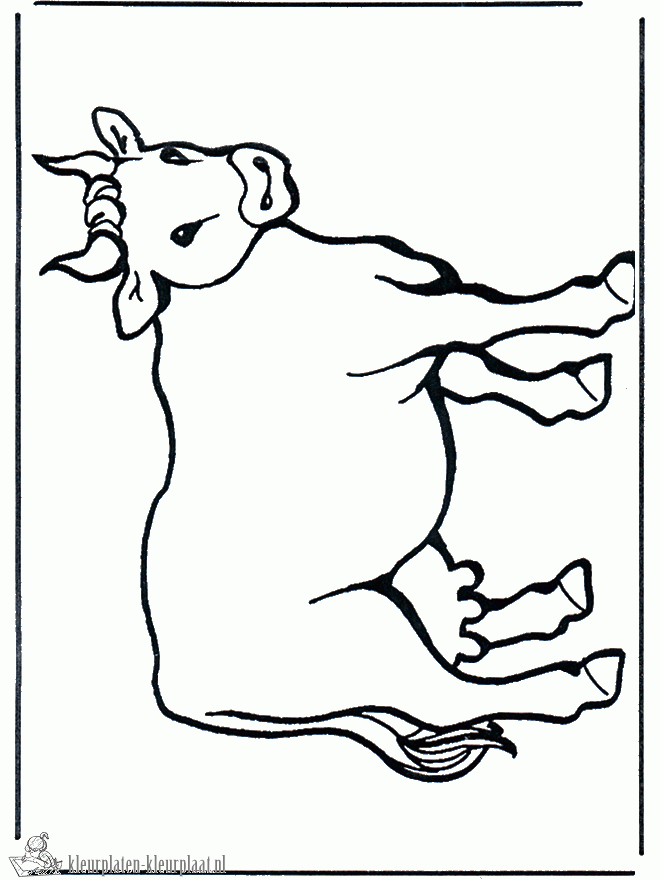 Koe 1 kleurplaat