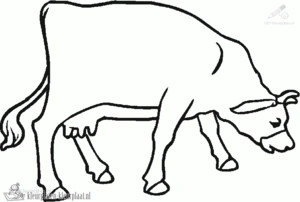 Koe 11 kleurplaat om te printen en kleuren