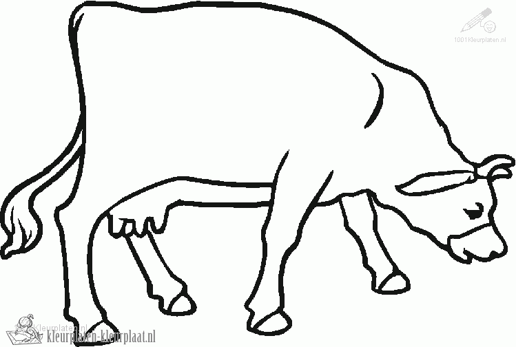Koe 11 kleurplaat