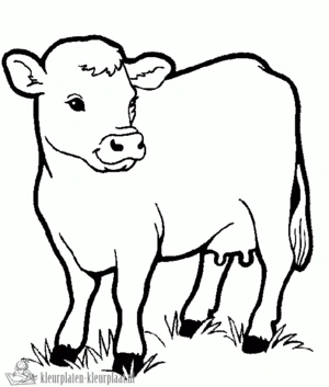 Koe 2 kleurplaat om te printen en kleuren
