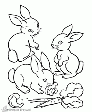 Konijn 3 kleurplaat om te printen en kleuren