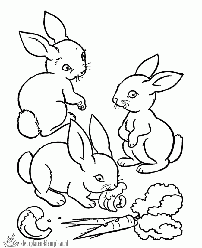Konijn 3 kleurplaat