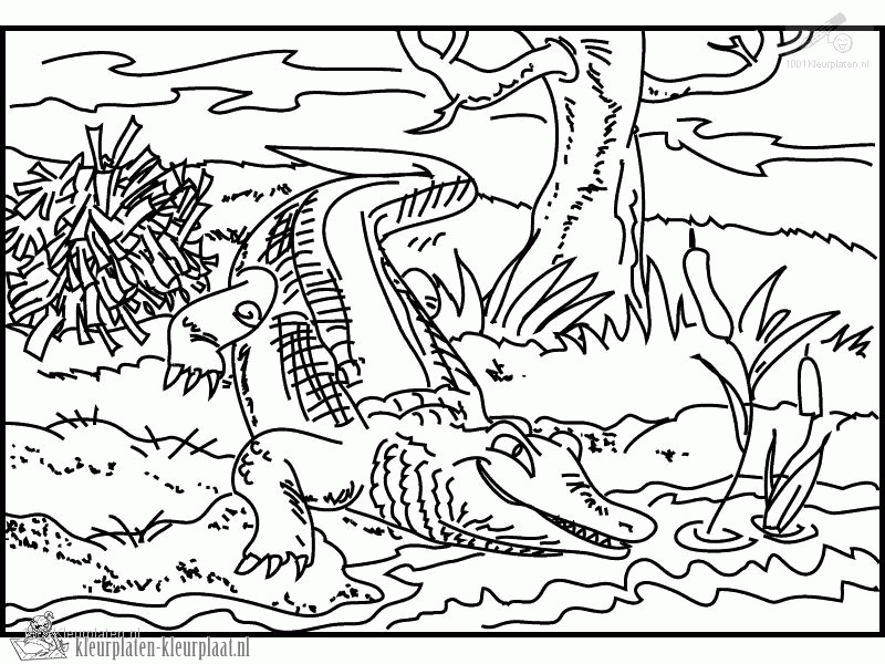 Krokodil 4 kleurplaat