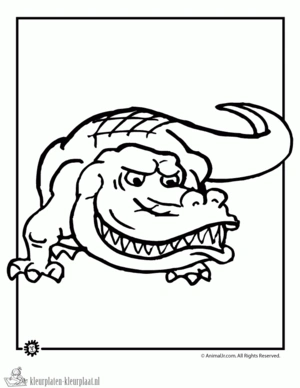 Krokodil 43 kleurplaat om te printen en kleuren