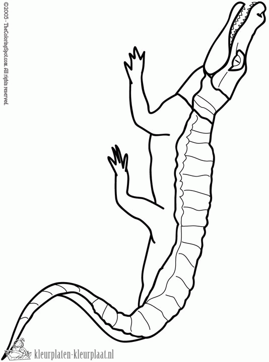Krokodil 5 kleurplaat