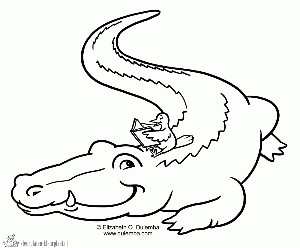 Krokodil 7 kleurplaat