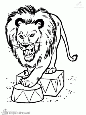 Leeuw 46 kleurplaat om te printen en kleuren