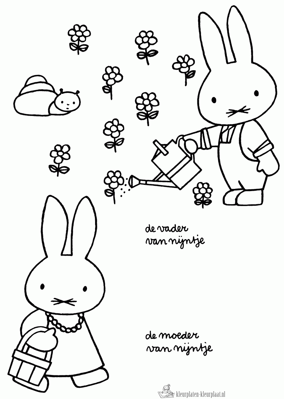 De vader en moeder van Nijntje kleurplaat
