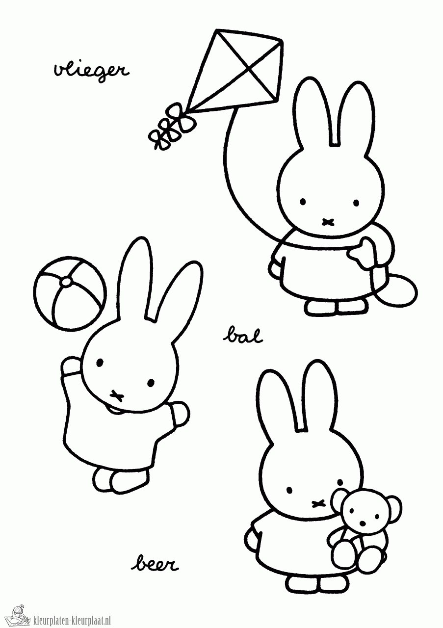 Nijntje met vlieger bal en beer kleurplaat