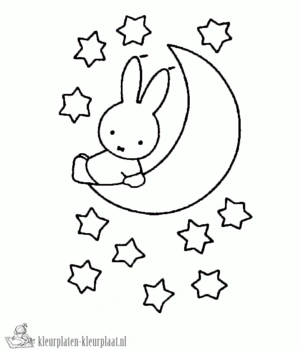 Nijntje op de maan kleurplaat om te printen en kleuren