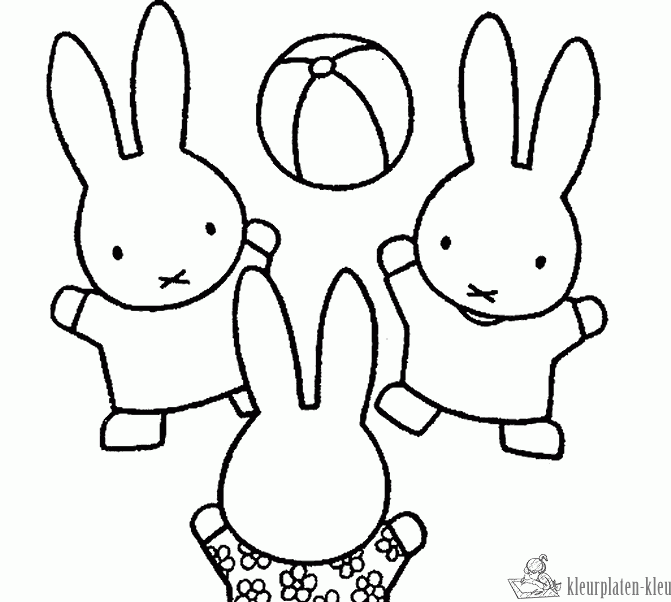 Nijntje speelt met de bal en zijn vriendjes kleurplaat