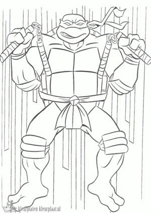 Ninja turtles 15 kleurplaat om te printen en kleuren