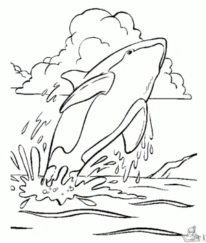 Orka 1 kleurplaat om te printen en kleuren