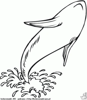 Orka 16 kleurplaat om te printen en kleuren