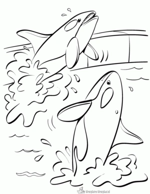 Orka 2 kleurplaat om te printen en kleuren