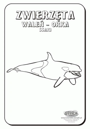 Orka 9 kleurplaat om te printen en kleuren