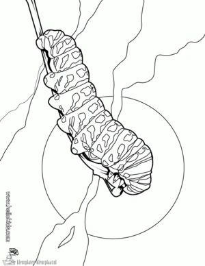 Rups 11 kleurplaat om te printen en kleuren