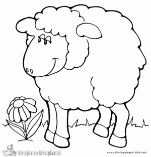 Schaap 16 kleurplaat om te printen en kleuren