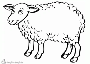 Schaap 17 kleurplaat om te printen en kleuren