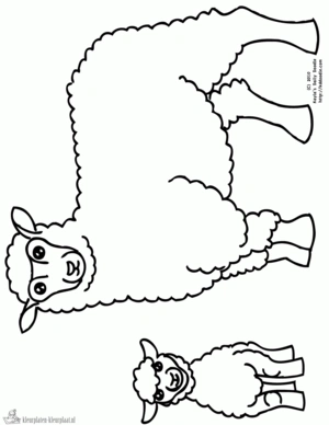 Schaap 20 kleurplaat om te printen en kleuren