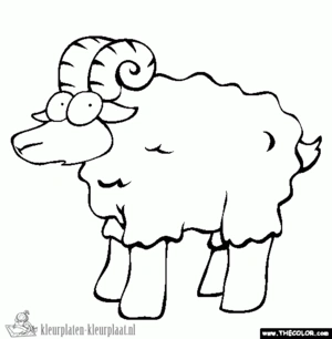 Schaap 33 kleurplaat om te printen en kleuren