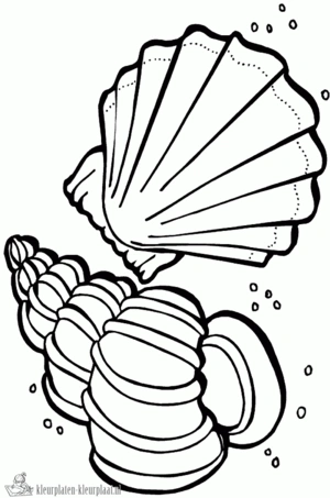 Schelpen 1 kleurplaat om te printen en kleuren