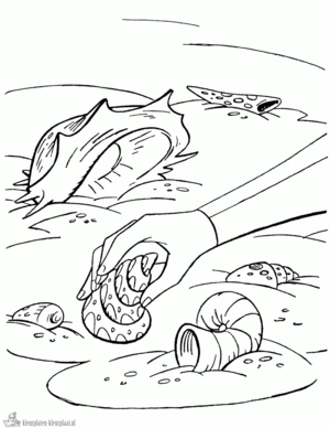 Schelpen 4 kleurplaat om te printen en kleuren