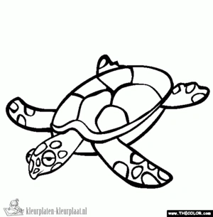 Schildpad 12 kleurplaat om te printen en kleuren