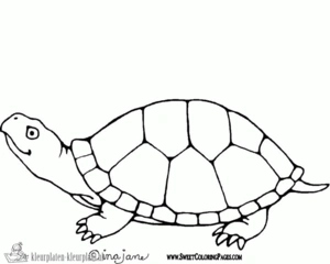 Schildpad 15 kleurplaat om te printen en kleuren