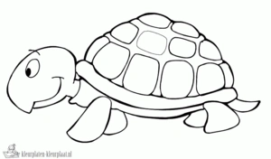 Schildpad 2 kleurplaat om te printen en kleuren