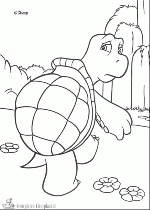 Schildpad 28 kleurplaat om te printen en kleuren