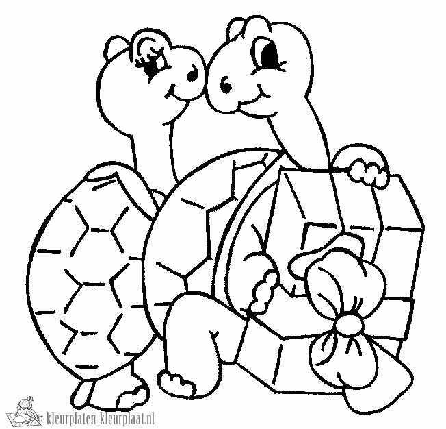 Schildpad 3 kleurplaat