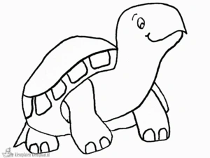 Schildpad 30 kleurplaat om te printen en kleuren