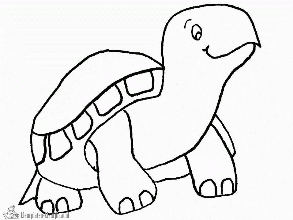 Schildpad 30 kleurplaat