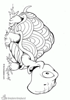 Schildpad 36 kleurplaat om te printen en kleuren