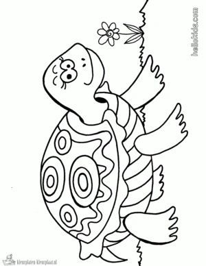 Schildpad 40 kleurplaat om te printen en kleuren