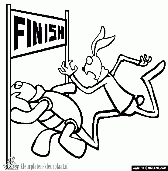 Schildpad 5 kleurplaat