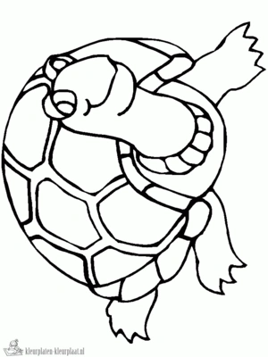 Schildpad 7 kleurplaat om te printen en kleuren