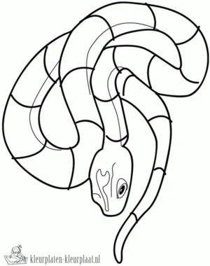 Slang 15 kleurplaat om te printen en kleuren