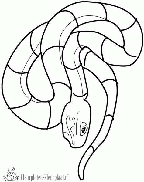 Slang 15 kleurplaat